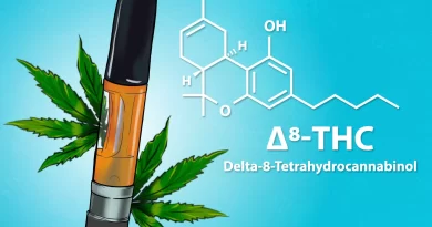 Making Delta 8 THC: Step-by-Step Guide to Making Delta 8 THC