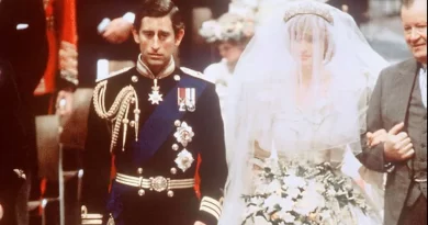 Cake From King Charles, Princess Diana's 1981 Wedding To Be Auctioned: Report