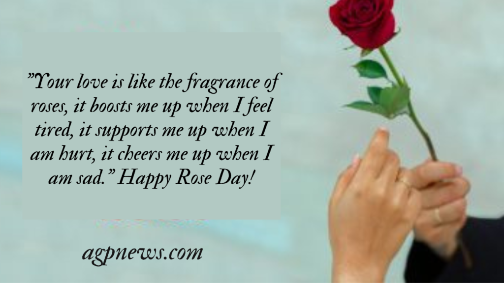 Rose Day Quotes, Wishes and Messages