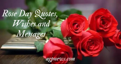 Rose Day Quotes, Wishes and Messages