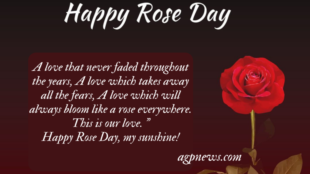 Rose Day Quotes, Wishes and Messages