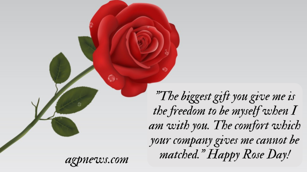 Rose Day Quotes, Wishes and Messages