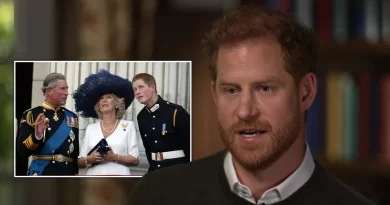 Prince Harry details his feelings about Camilla, the Queen Consort — and why the press once considered her "the villain"