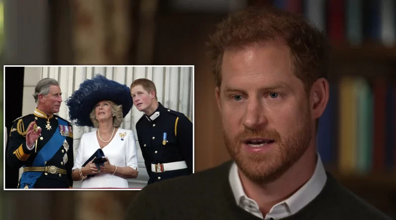 Prince Harry details his feelings about Camilla, the Queen Consort — and why the press once considered her "the villain"