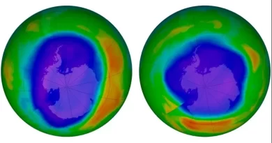 Ozone Layer Is Slowly Recovering, Expected To Be Healed Completely In Decades: UN Report