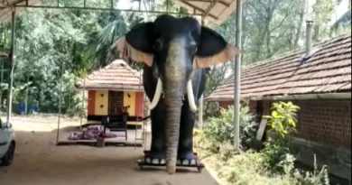 In a first, Kerala temple introduces mechanical elephant for performing rituals