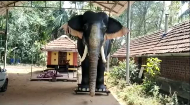 In a first, Kerala temple introduces mechanical elephant for performing rituals