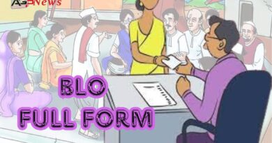 BLO Full Form