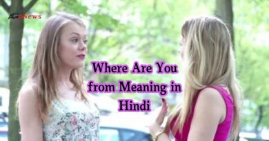 Where Are You from Meaning in Hindi