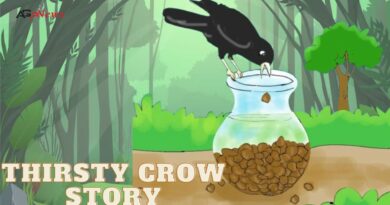 Thirsty Crow Story