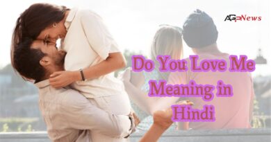 Do You Love Me Meaning in Hindi