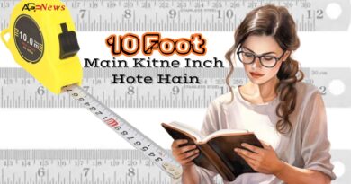 10-Foot Mein Kitne Inch Hote Hain