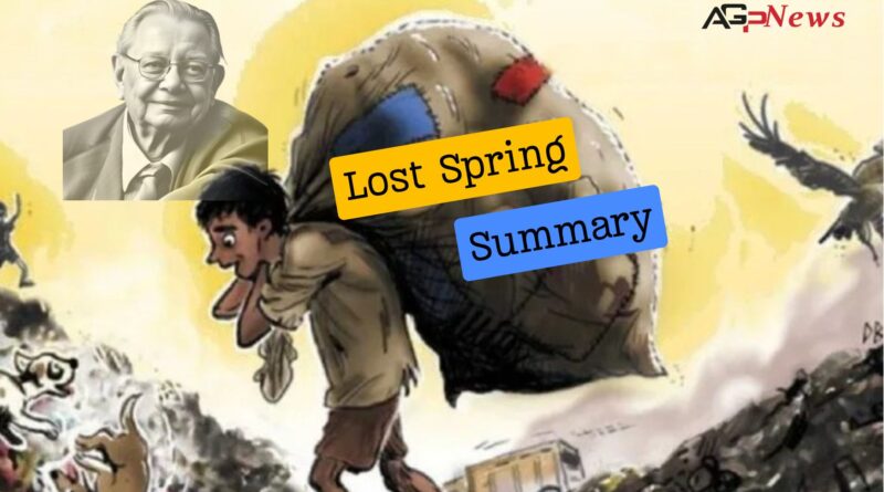 Lost Spring Summary